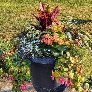 Meet your Posher, Scheiderer